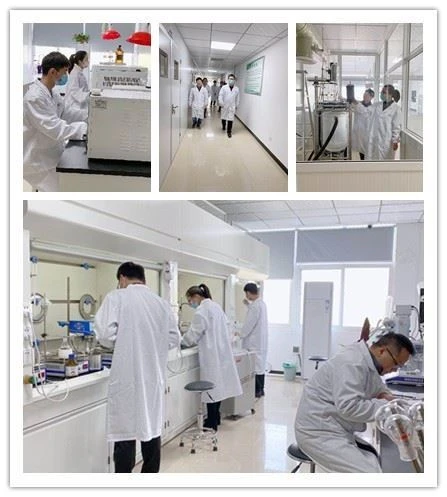 CAS:399-72-4 | 5-Fluoro-2-methylindole