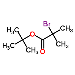 CAS:23877-12-5|T-Butyl 2-bromo Isobutyrate