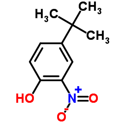 CAS:3279-07-0|4-tret-Butyl-2-níotrfeinil