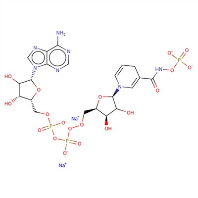 CAS:606-68-8|Béite-Nicotinamide Dinucleotide Adenine, Salann Disodium