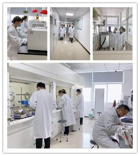 CAS:57260-70-5丨1-Boc-(4-benzyl)piperazine