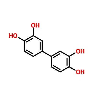 CAS:3598-30-9|[1,1'- défheinil][{4}},3',4,4'-tetraol